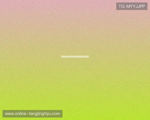 星空体育下载官网未来发展方向与新功能预告分析